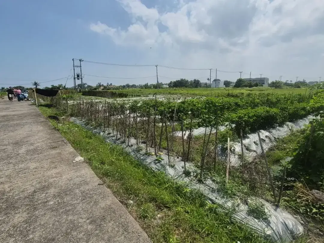 Land For sale pantai kedungu dekat ke tanah lot - Image 2 of 5
