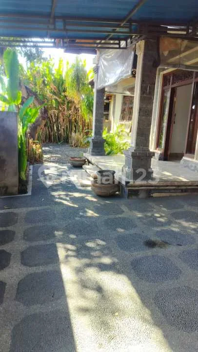 Disewakan Rumah Jl Gurita Denpasar Bali - Image 4 of 4