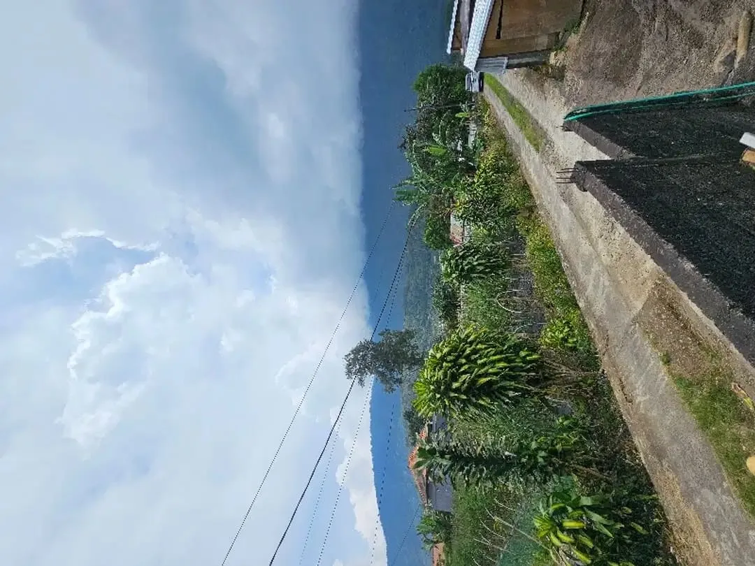 Tanah kebun zona residen cocok untuk investasi dan billa - Image 4 of 9