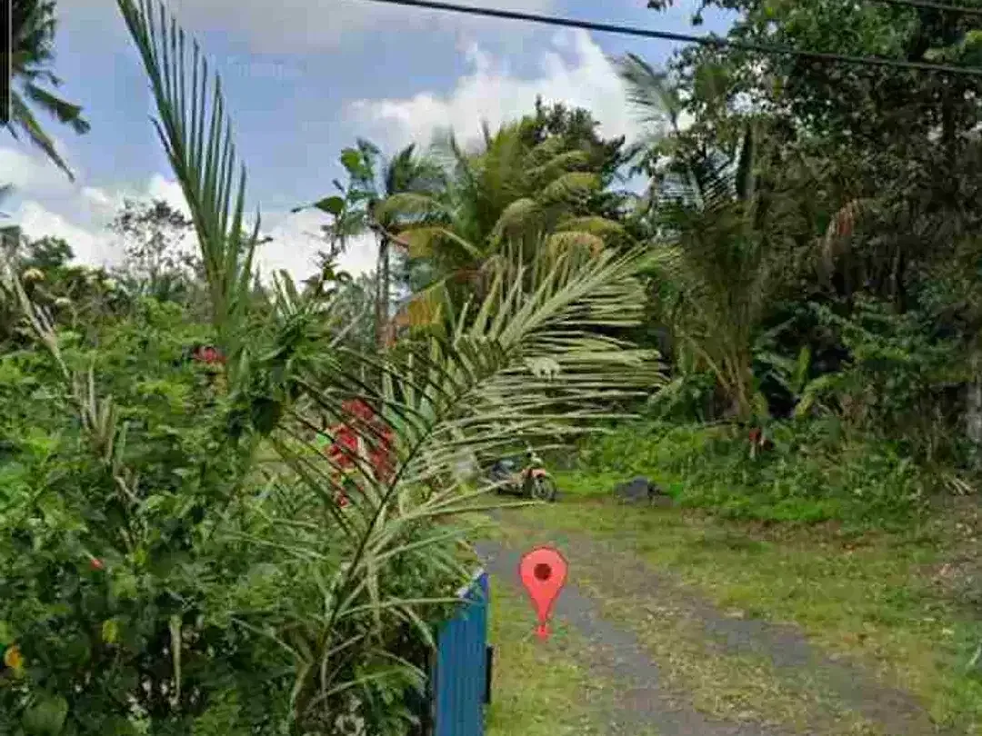 Land 2ha for Sale at Sidemen Traditional Village Bali - Image 5 of 10