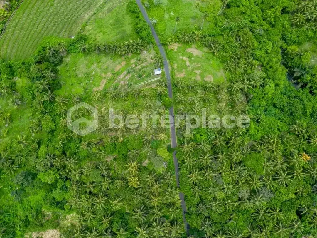 Prestigious 23.9 are Freehold Jungle Land in Balian – A Rare Investment Opportunity Blending Natural Serenity with Coastal Elegance - Image 6 of 10