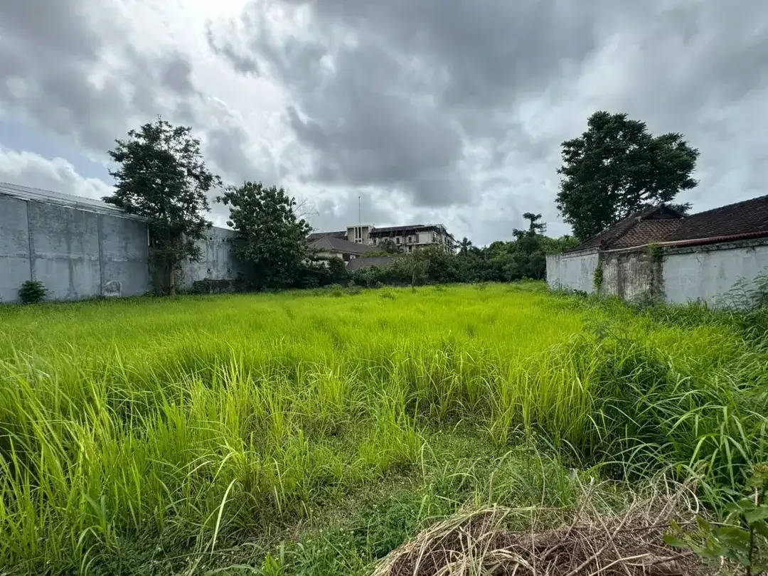 EXCLUSIVE LAND IN BYPASS MUMBUL NUSA DUA - Image 3 of 9