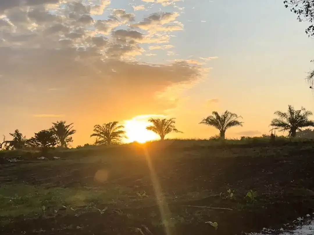 10 Menitan Canggu Tanah Dijual View Sawah, Sunset, Sunrice, Mountain - Image 3 of 10