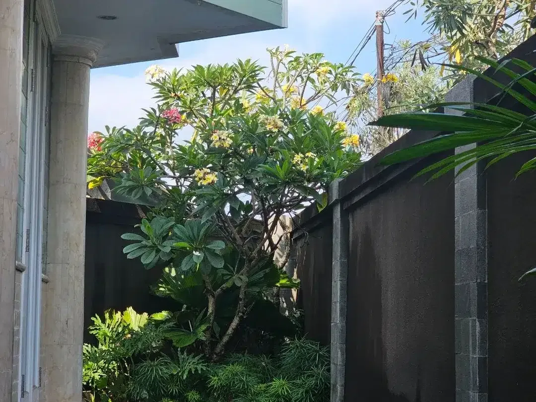 Villa Mewah Modern Dijual di Area Tegal Cupek, Kuta - Image 2 of 10