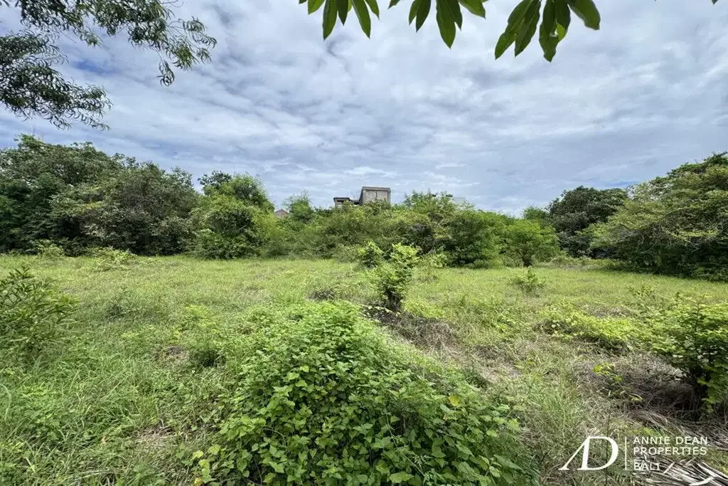 FREEHOLD BEAUTIFUL PLOT OF LAND IN NUSA DUA (27,8 ARE) - Image 7 of 9