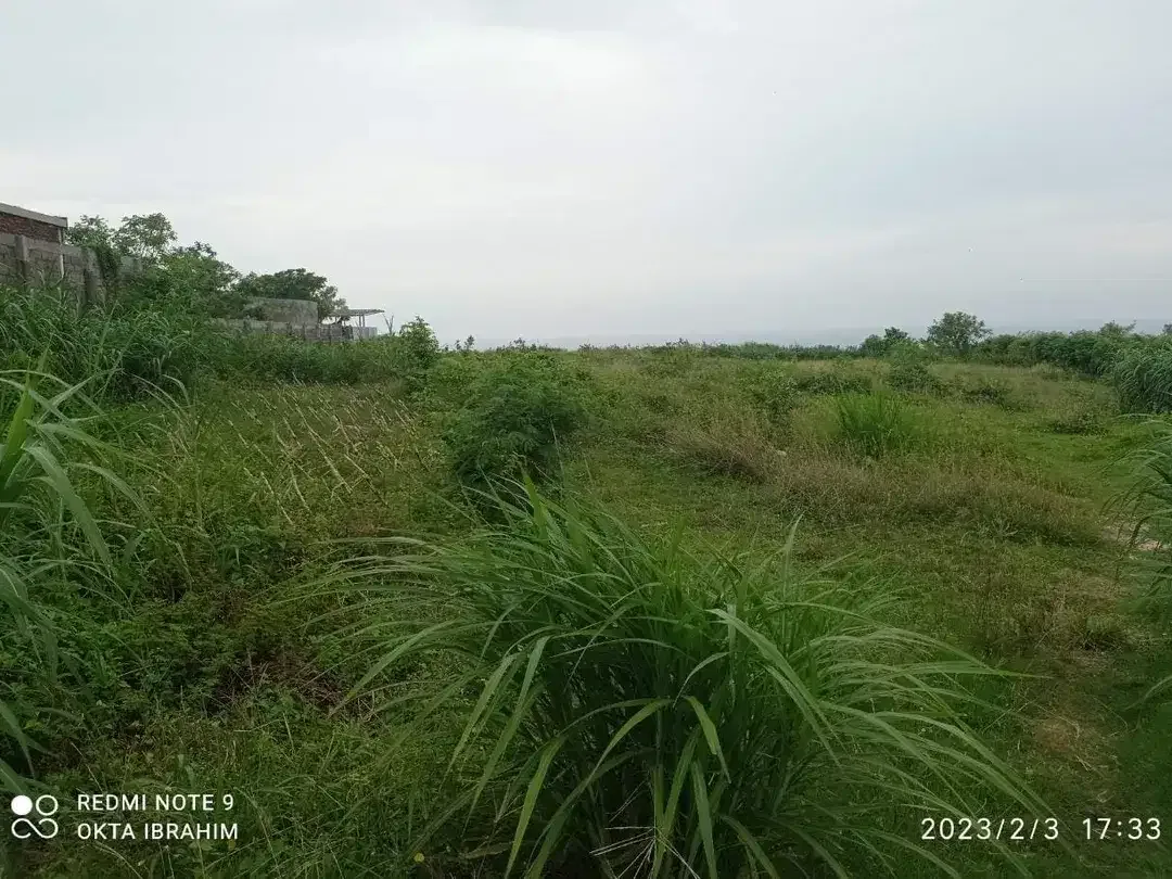 Rare Investment Opportunity Freehold or Leasehold – 2.97 Hectares Cliff Front Land at Nyang Nyang Beach - Image 9 of 10