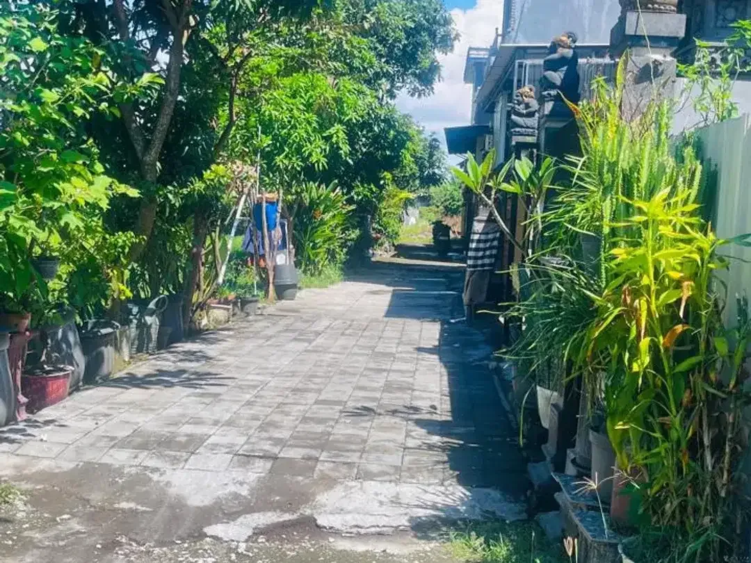 [DIJUAL] TANAH STRATEGIS DEKAT PANTAI MATAHARI TERBIT – COCOK UNTUK HUNIAN & INVESTASI - Image 3 of 6