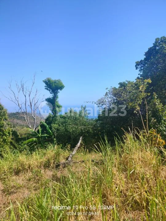 Ocean View! 1,8ha Ds Tunjung Kubutambahan Dekat Calon Bandara Baru - Image 2 of 4