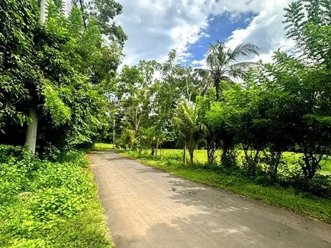 [AMS-018.DKA]  Tanah Premium Dijual Dekat Virgin Beach Bukit Asah Karangasem – Akses Langsung Pantai - Image 4 of 10