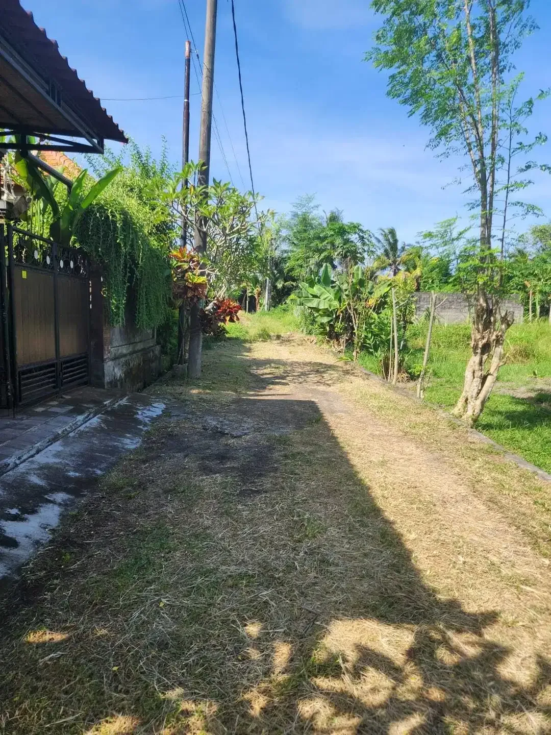 2 Are lingkungan villa di saba Gianyar Bali - Image 5 of 5