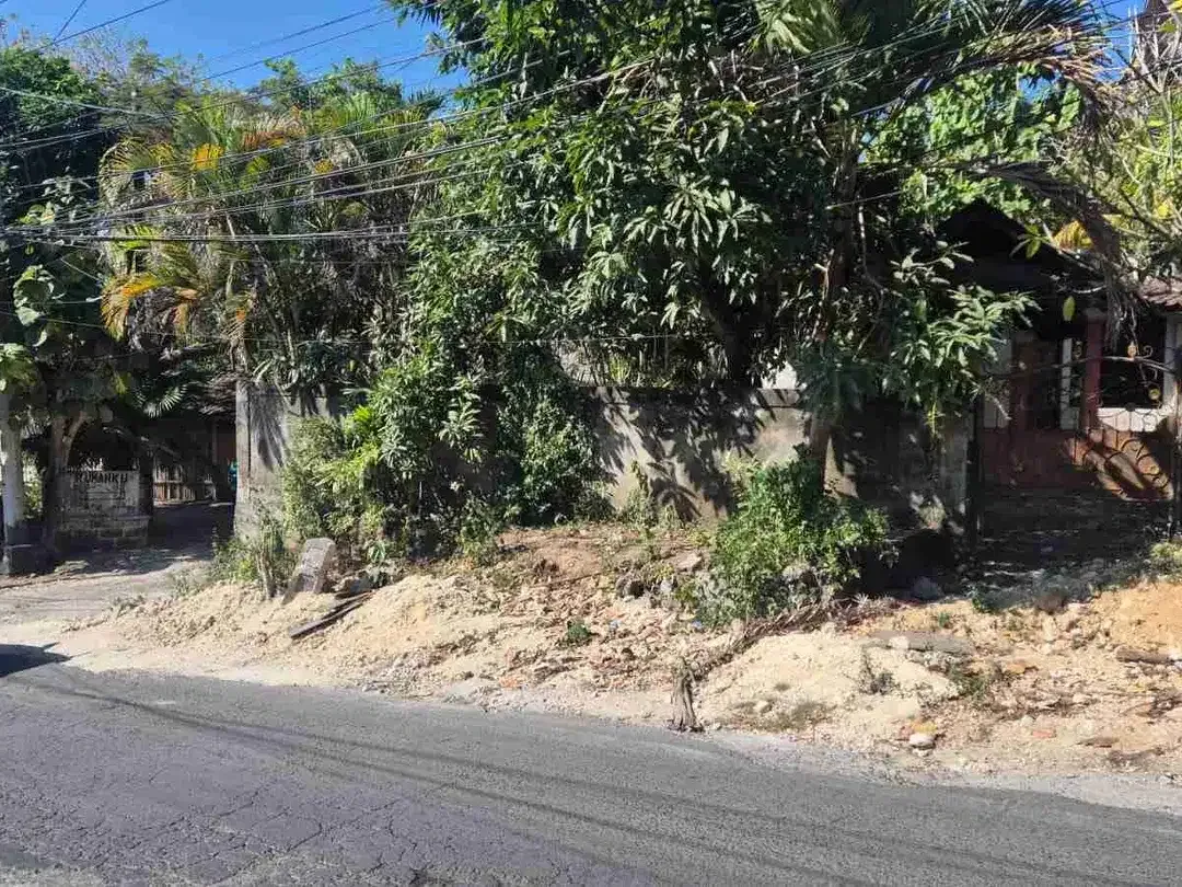 Tanah 2.000m² Bonus Villa di Raya Pantai Balangan Jimbaran - Image 4 of 10