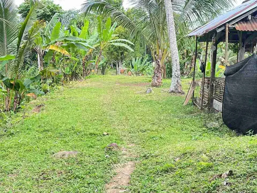 jual tanah di apit dua sungai di desa wisata manikyang, selemadeg tabanan bali. - Image 10 of 10