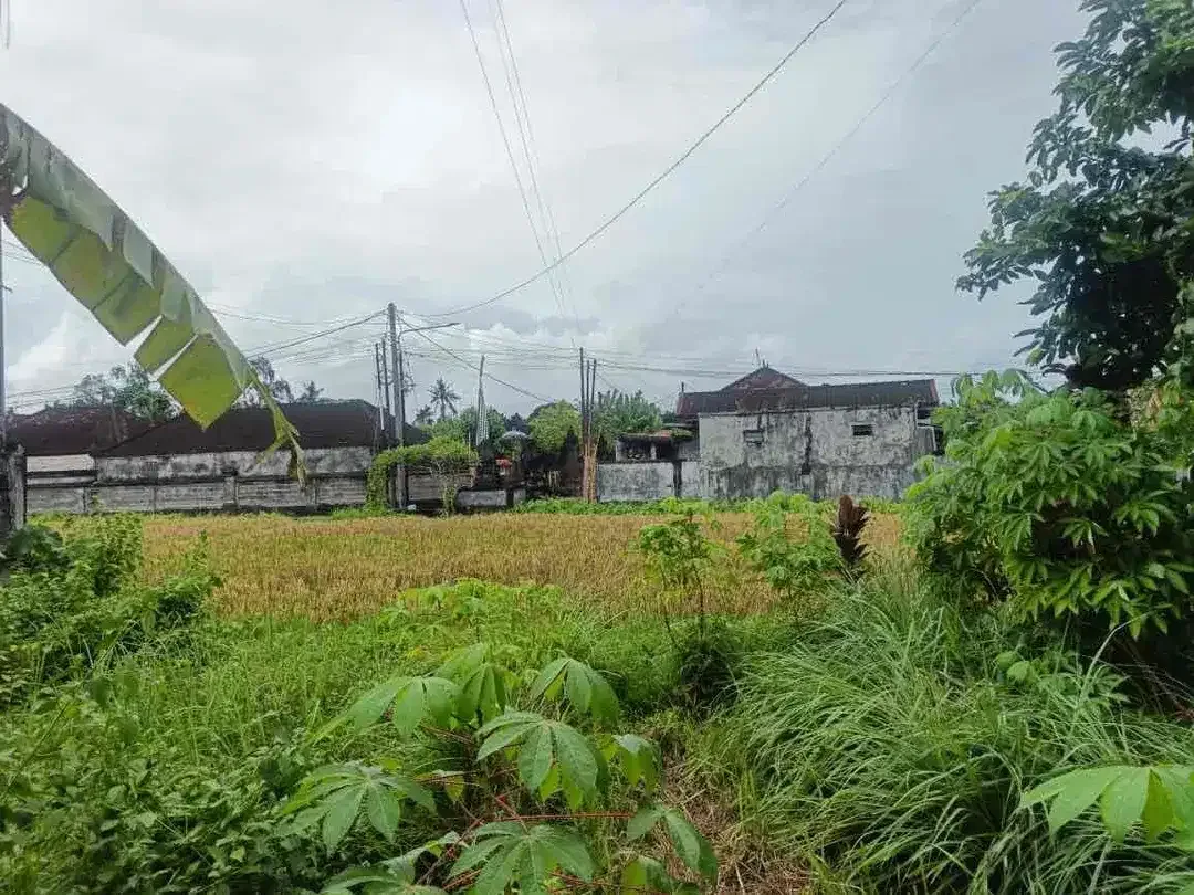 Dijual tanah lokasi di singapadu jalur dekat ke Ubud - Image 5 of 5