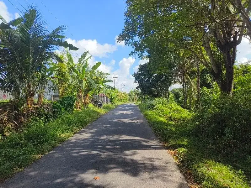 Dijual tanah murah los  sungai bebatuan dan view sawah ddi bali. - Image 4 of 10