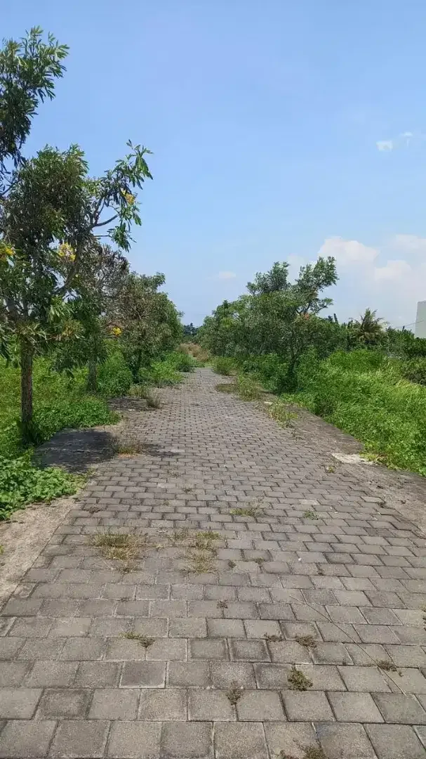 20mnit to Canggu, Kedungu Beach - Image 2 of 2