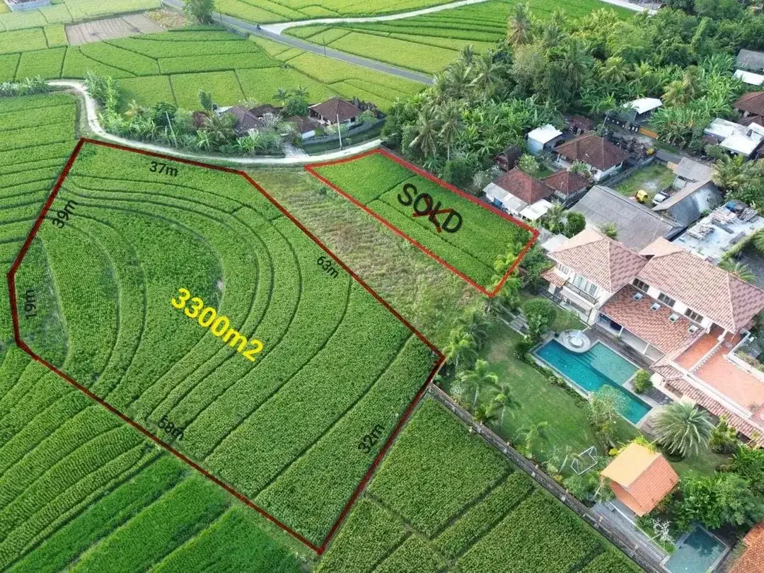 Tanah view sawah pasut tabanan bali - Image 1 of 5
