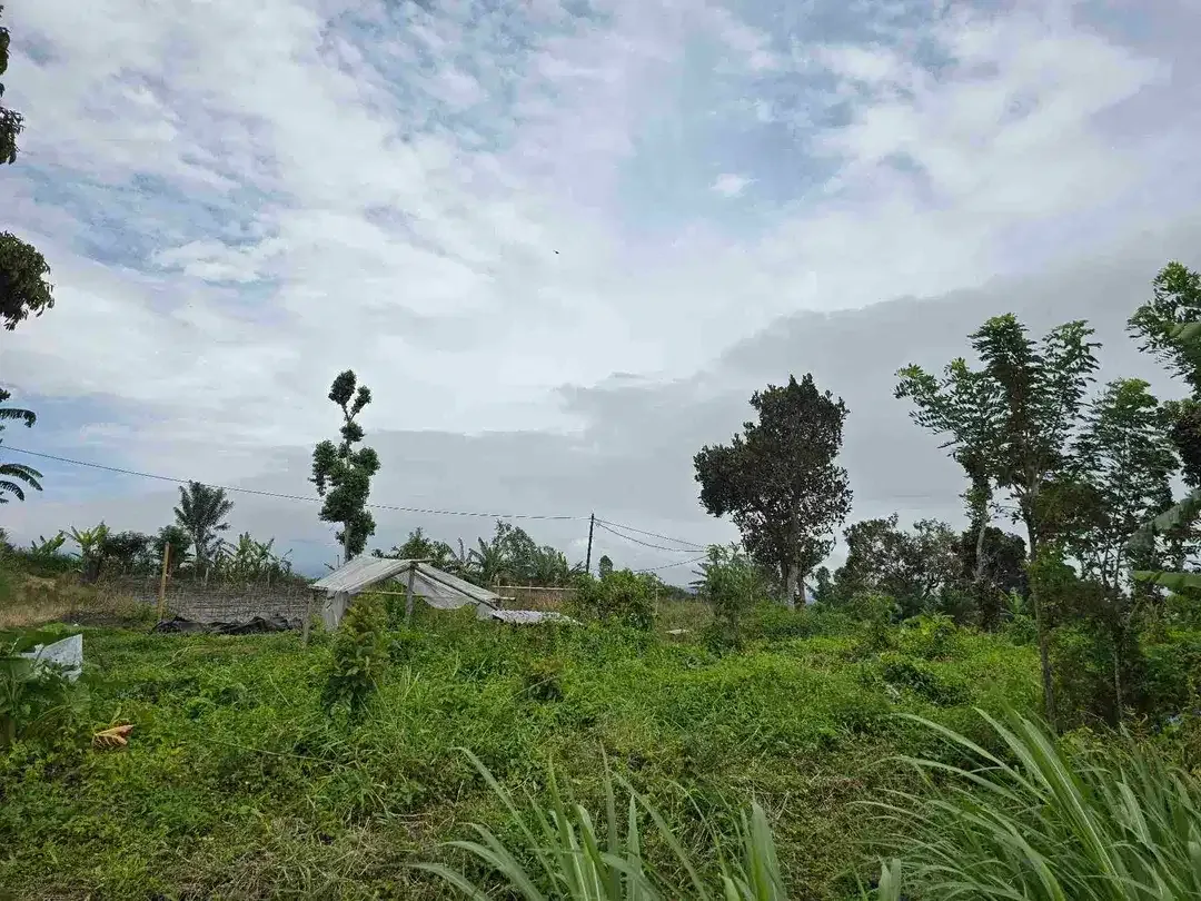 Dijual tanah datar landai view gunung dan lembah di tabanan bali - Image 5 of 10