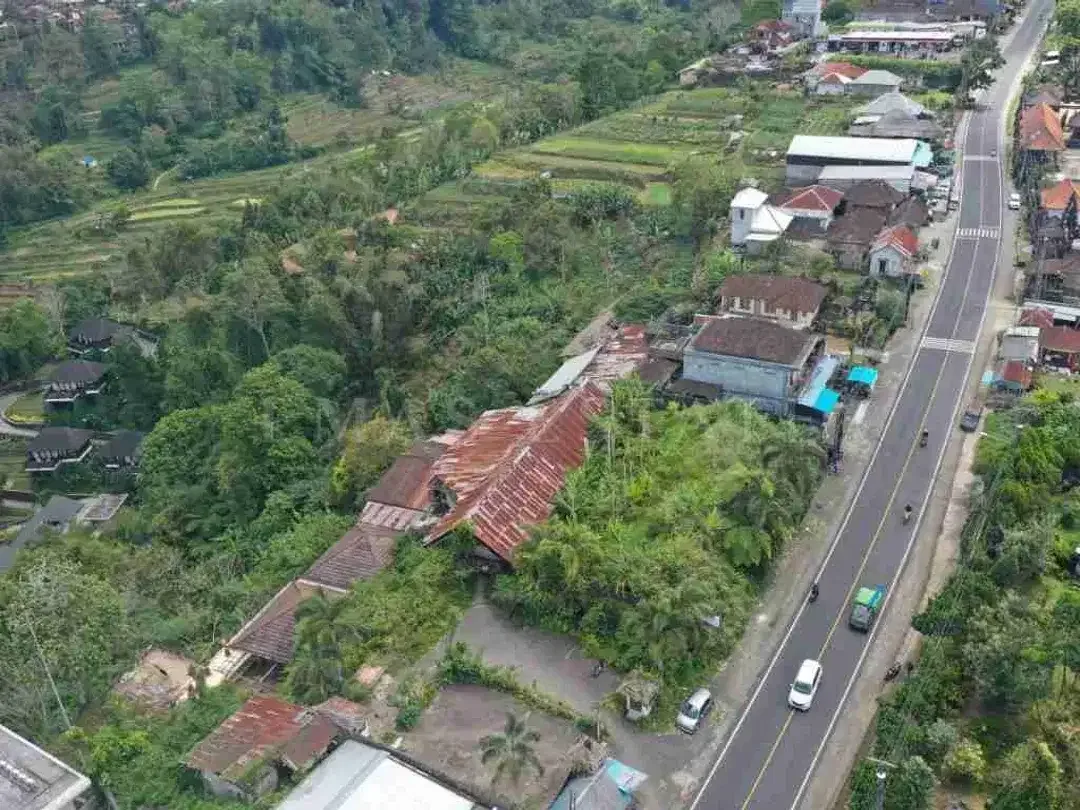 Tanah 6 Are Dijual di Baturiti, Dekat HOMM Saranam & Bali Handara Golf - Image 2 of 9