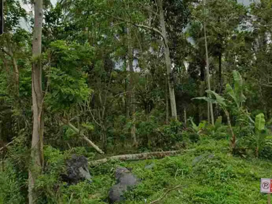 Land 2ha for Sale at Sidemen Traditional Village Bali - Image 6 of 10