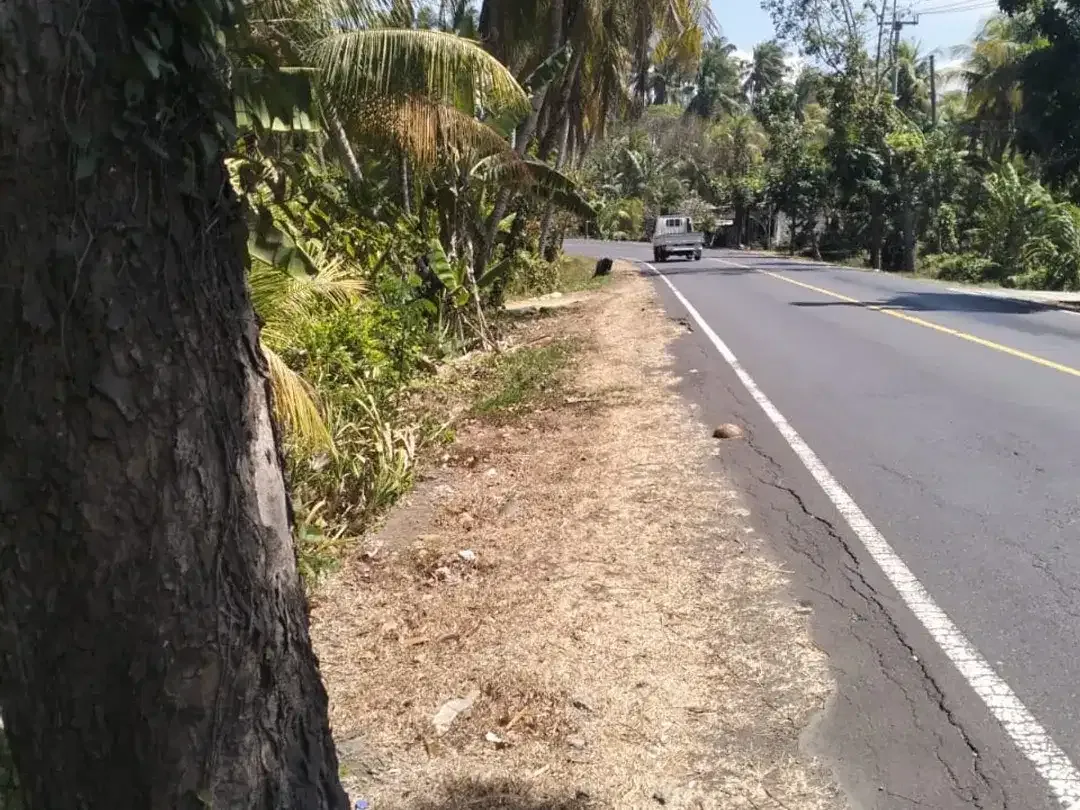 DIJUAL TANAH STRATEGIS – GUMBRIH, JEMBRANA - Image 3 of 4