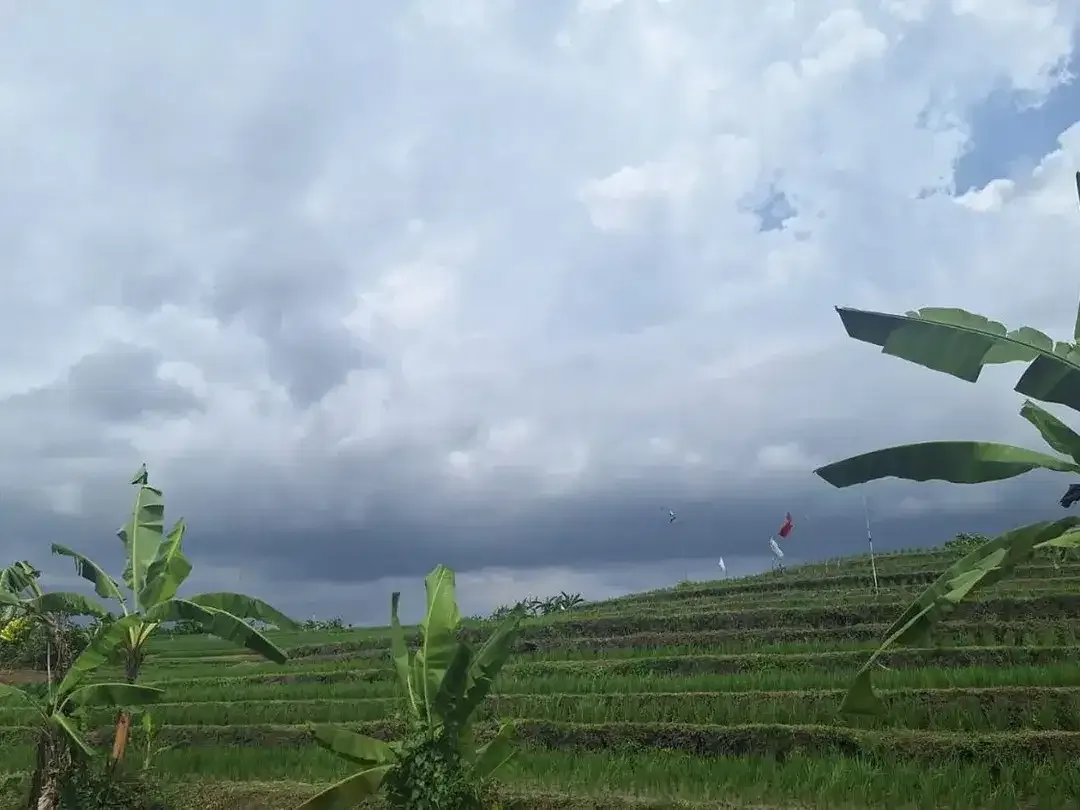For Sale Freehold - Land area Tumbak Bayuh - Image 3 of 10