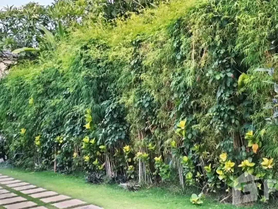 3 Bedroom Villa for sale in Denpasar Selata, Bali - Image 2 of 10