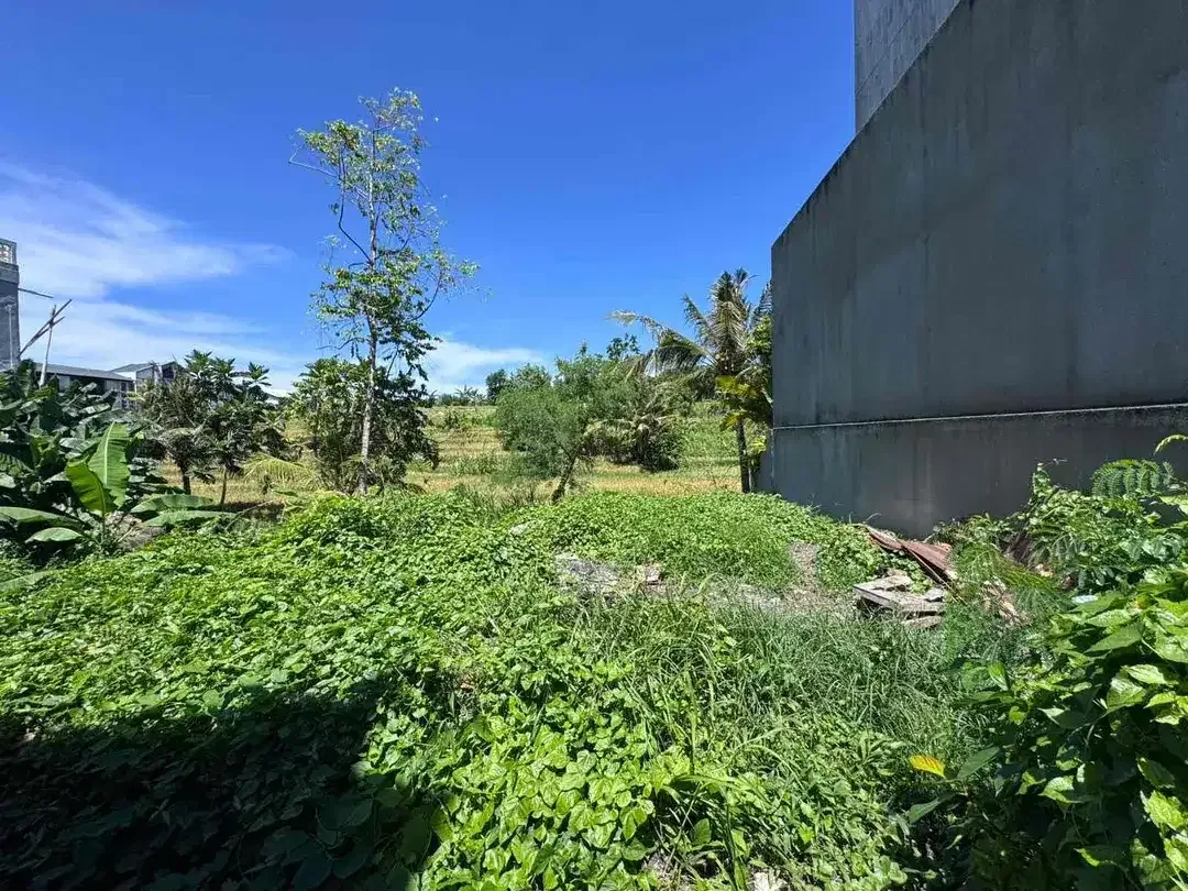 Dijual - Tanah Plot Kecil view Sawah Jalur hijau dan sungai
Lokasi Buduk - Image 1 of 4