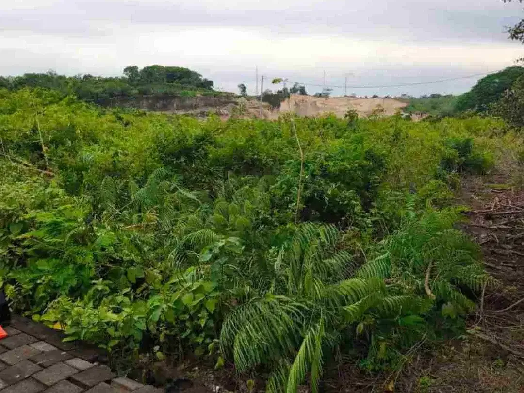 DIJUAL TANAH PREMIUM KAWASAN NUSA DUA - BALI - Image 4 of 6
