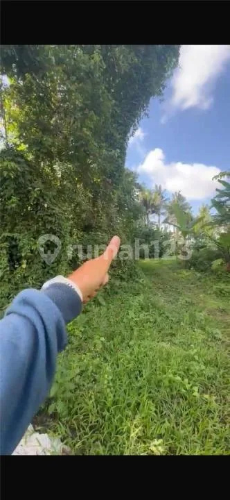 Tanah Murah View Sawah Abadi Mas Ubud Zona Kuning - Image 2 of 4