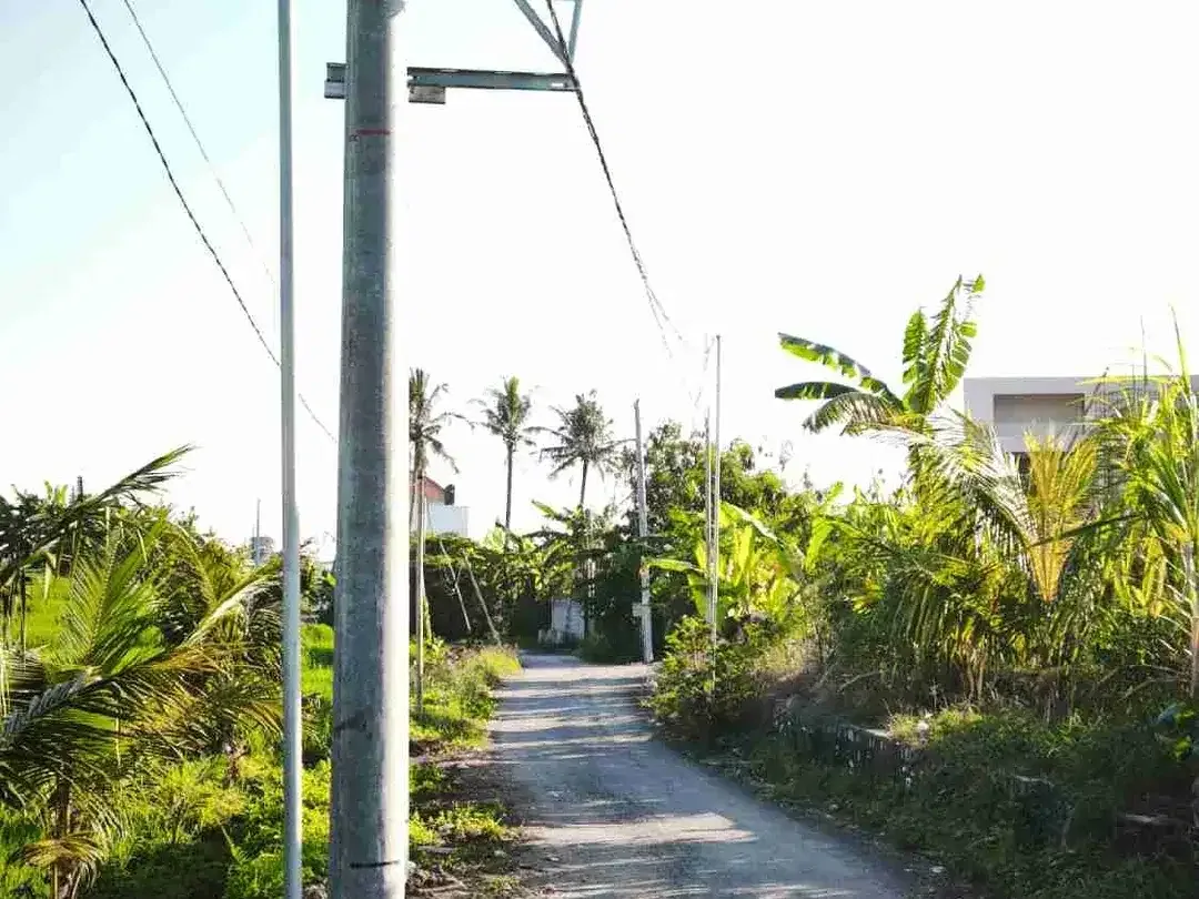 Tanah strategis dekat dengan pantai lima - Image 8 of 8