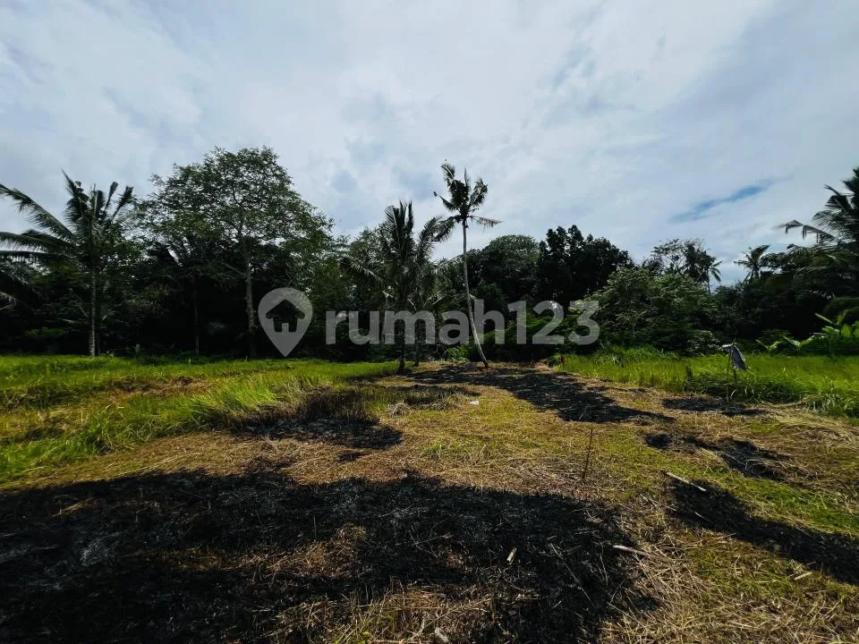 Tanah Kavling Strategis Dekat Hotel Bintang 5 Payangan, Ubud - Image 4 of 4