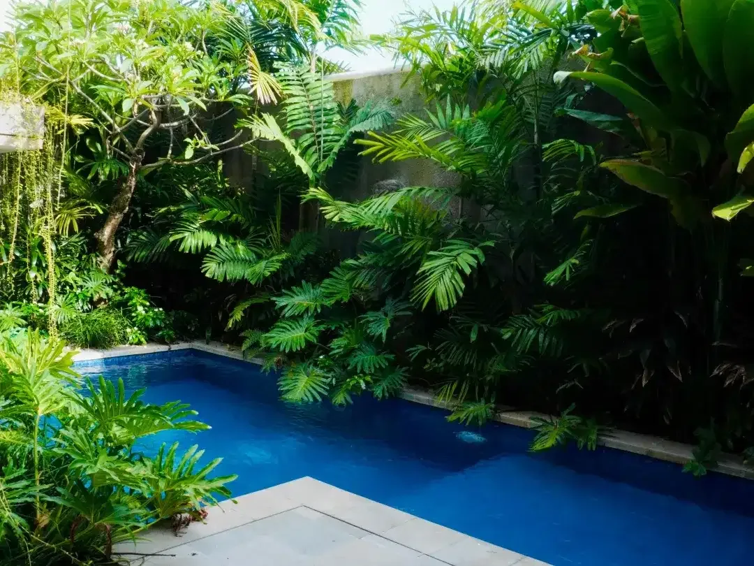 3 Bedroom Villa for sale in Denpasar Selata, Bali - Image 4 of 10