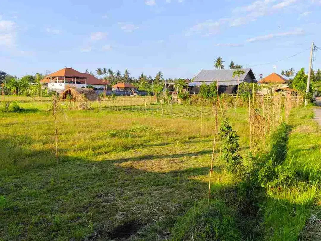 VILLA FULL FURNISH VIEW SAWAH DEKAT PANTAI LOVINA - Image 4 of 10