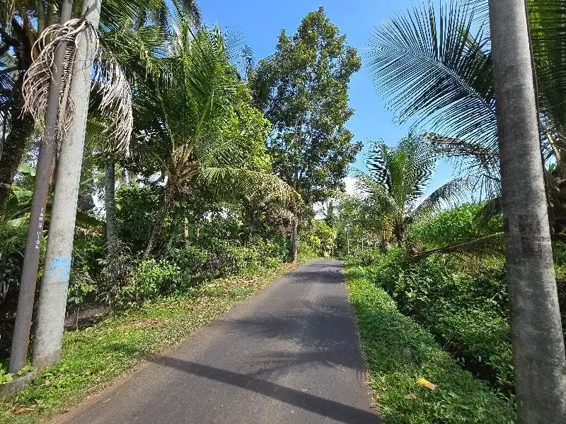 DIJUAL TANAH LOS SUNGAI di tabanan bali BEBATUAN - Image 10 of 10