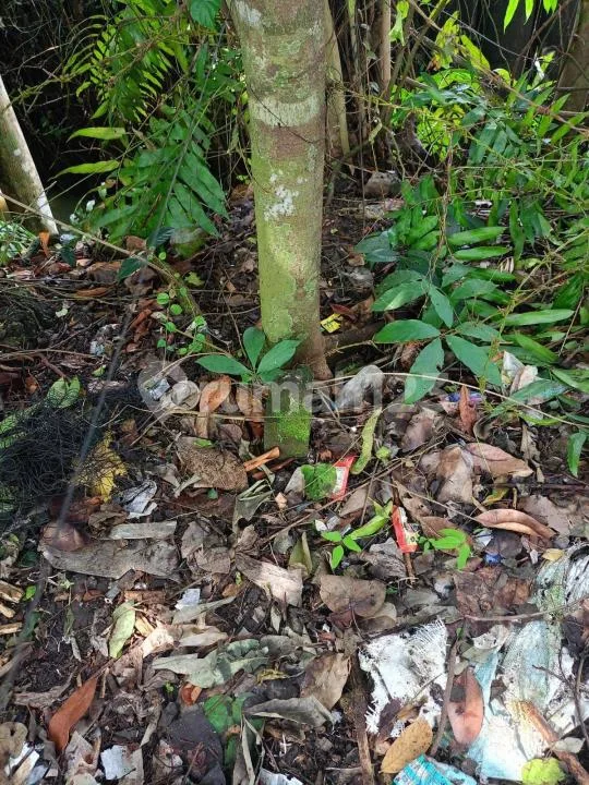 Tanah Los Sungai Strategis Dekat Munggu Selingsing Cepaka Tabanan - Image 2 of 4