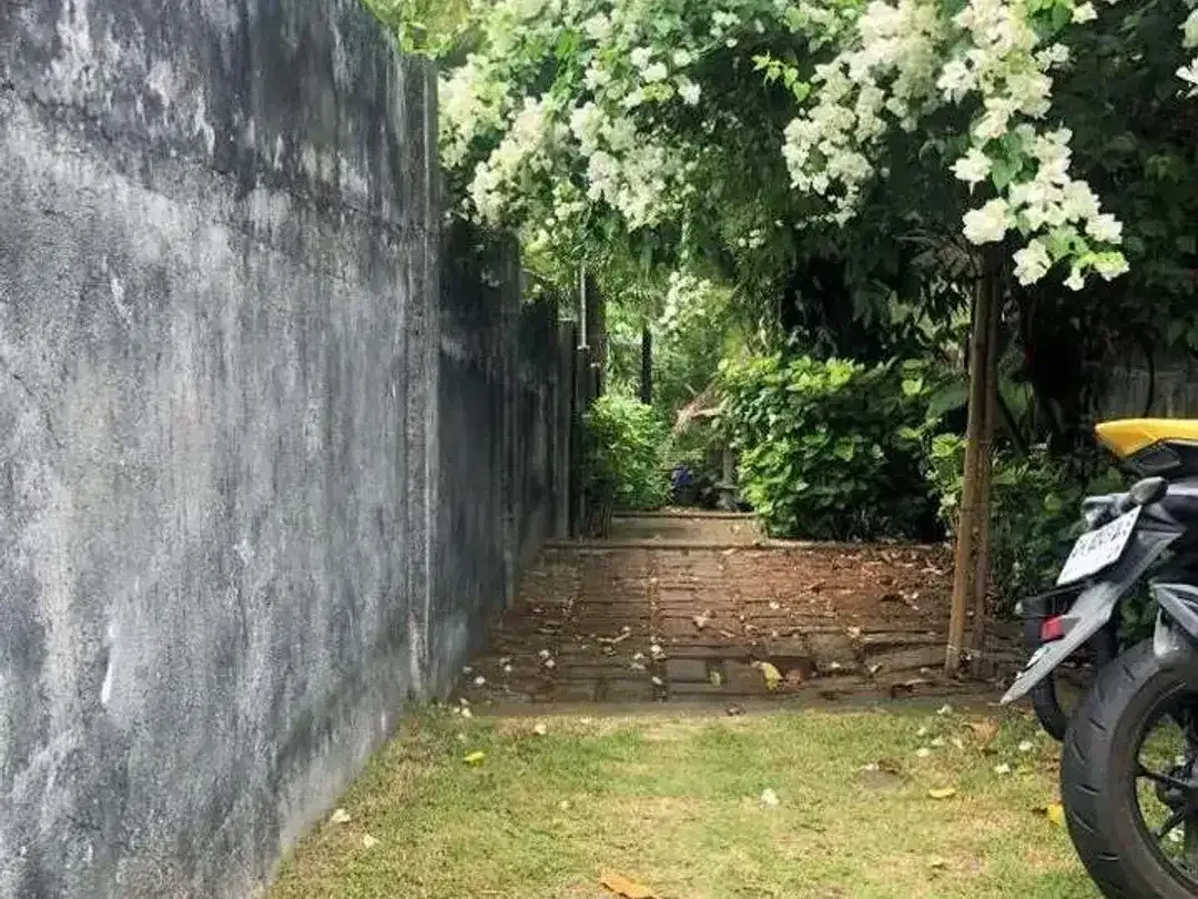 Land for sale in Pererenan, Bali - Image 7 of 10