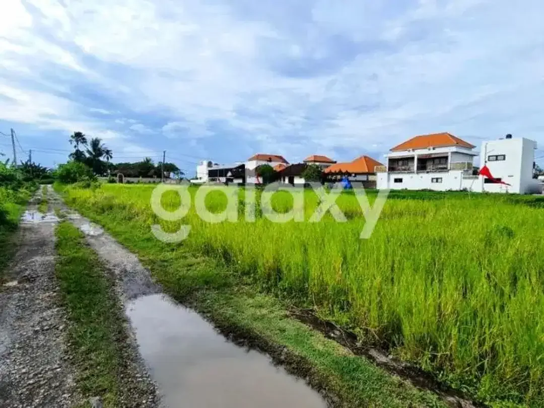 TANAH ZONA PINK DI CEMAGI BADUNG, BALI - Image 3 of 9