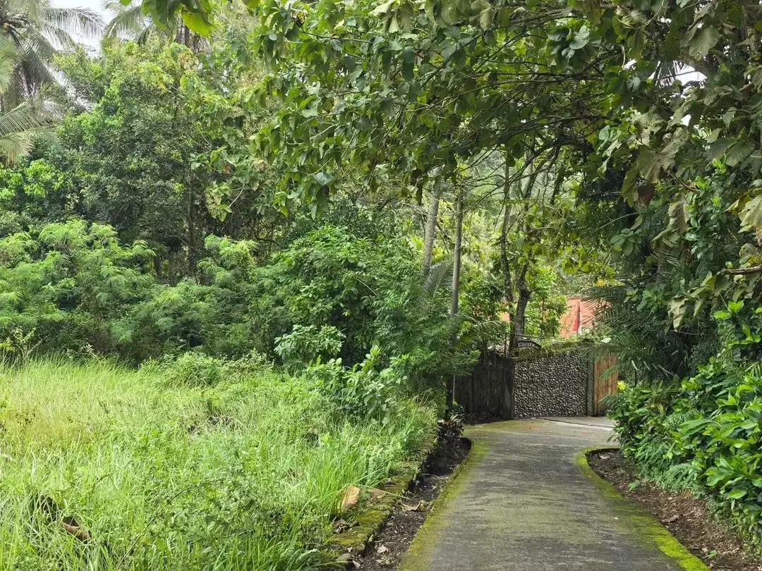 Dijual tanah luasan kecil berdampingan dengan villa komersil - Image 1 of 7