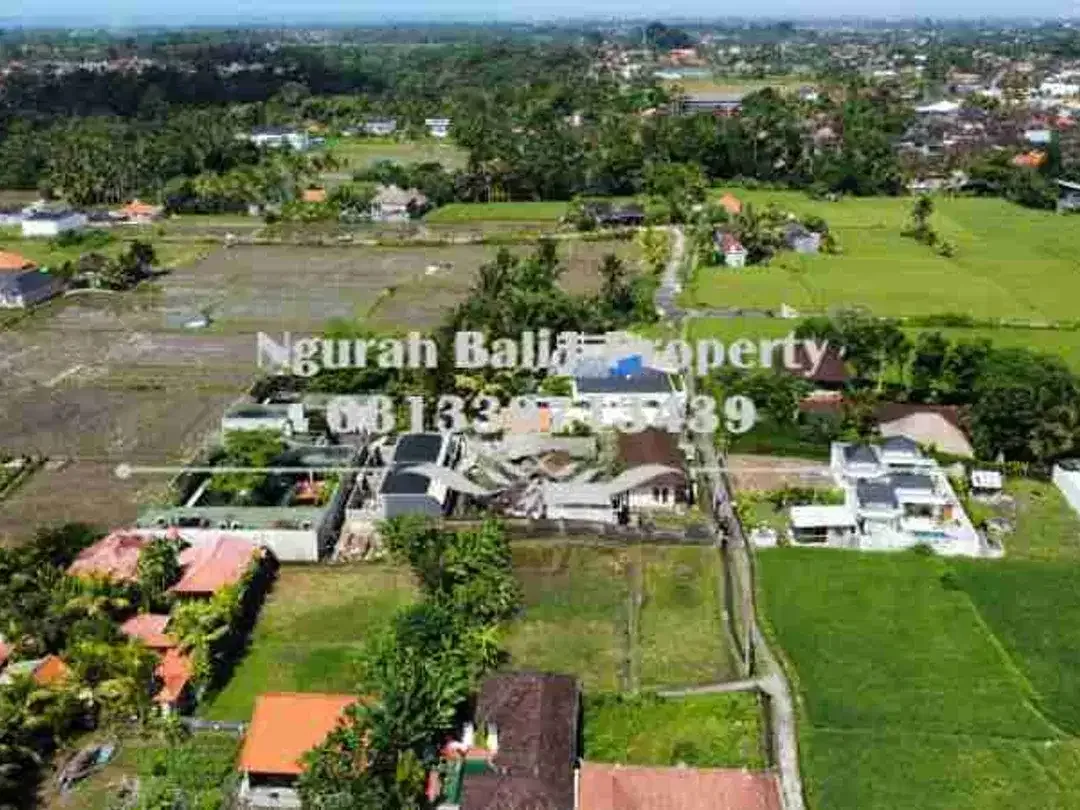Land For Rent Murah Luas 1300 m2 Kawasan Villa di Ubud - Image 2 of 6