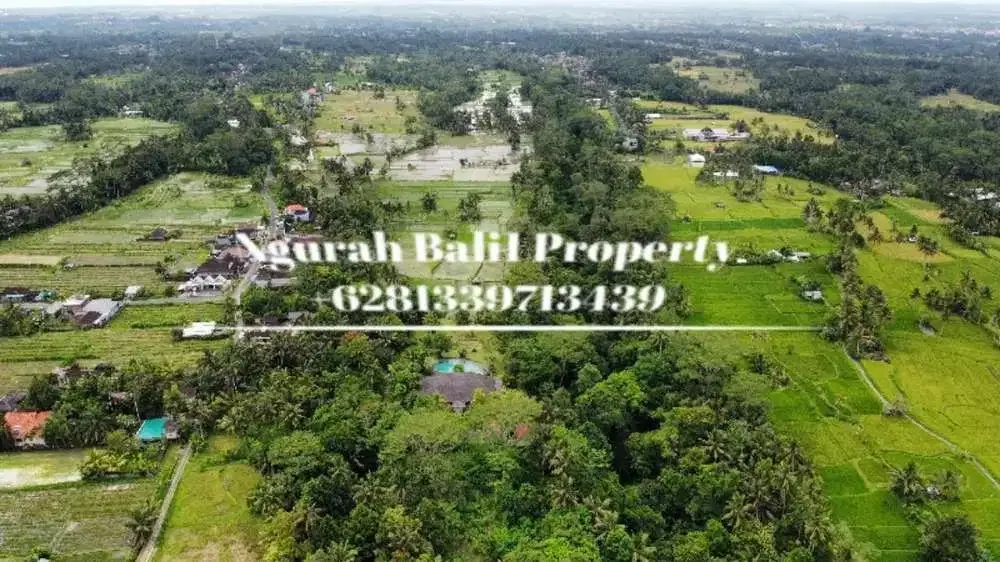 Jual Tanah Murah Luas 5700 m2 View Sungai dan Hutan Lingkungan Villa di Pejeng Kangin - Image 5 of 6