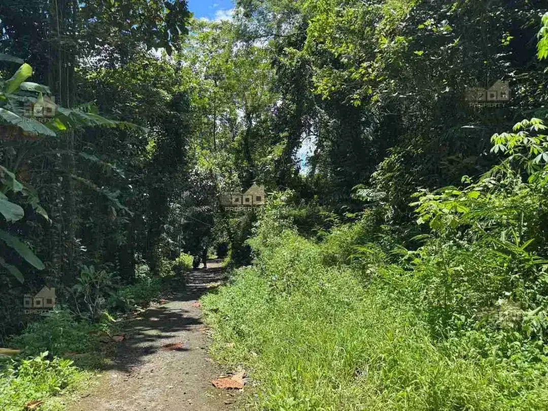 Freehold Land For Sale In Cegeng, Sidemen – Karangasem - Image 9 of 9