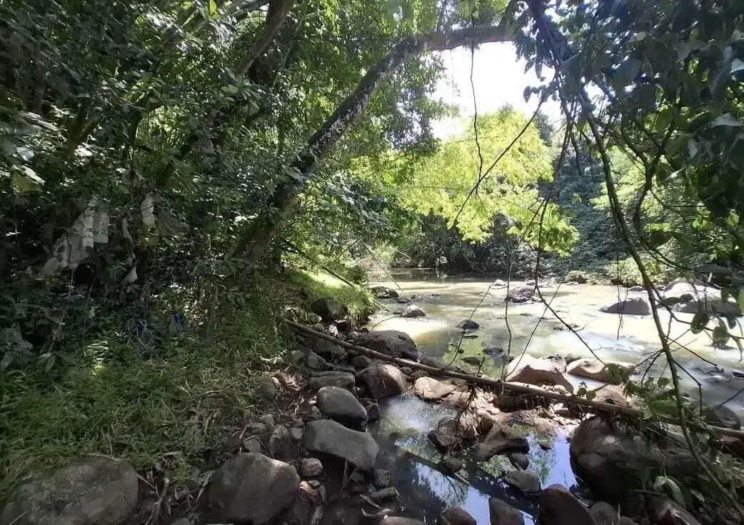 Dijual tanah dekat panta dengan sungai cantik di tabanan bali - Image 2 of 9