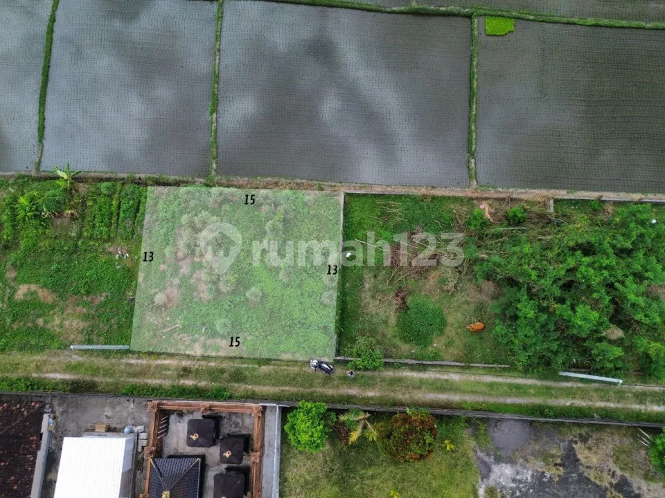 Tanah View sawah Green Belt - Kaba Kaba tabanan 200m2 - Image 3 of 4
