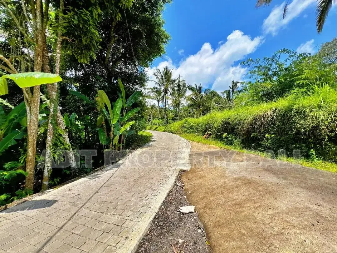 Tanah View Jungle & Sungai Payangan Ubud Gianyar Bali - Image 8 of 10