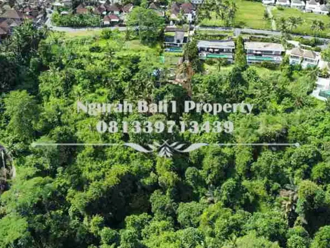 Over Kontrak  Luas Tanah 69,38 Are View Jungle dan Tebing di Ubud - Image 4 of 7