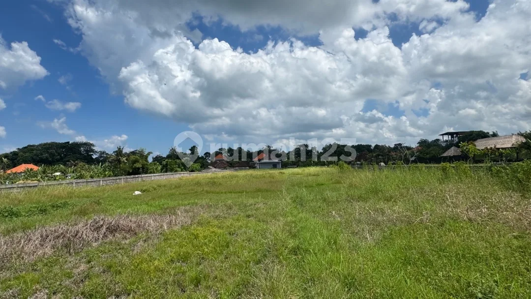 Tanah Dekat Pantai di Tabanan - Image 4 of 4