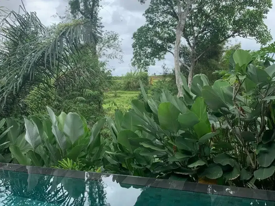 2 Bedroom Villa for sale in Ubud, Bali - Image 3 of 10