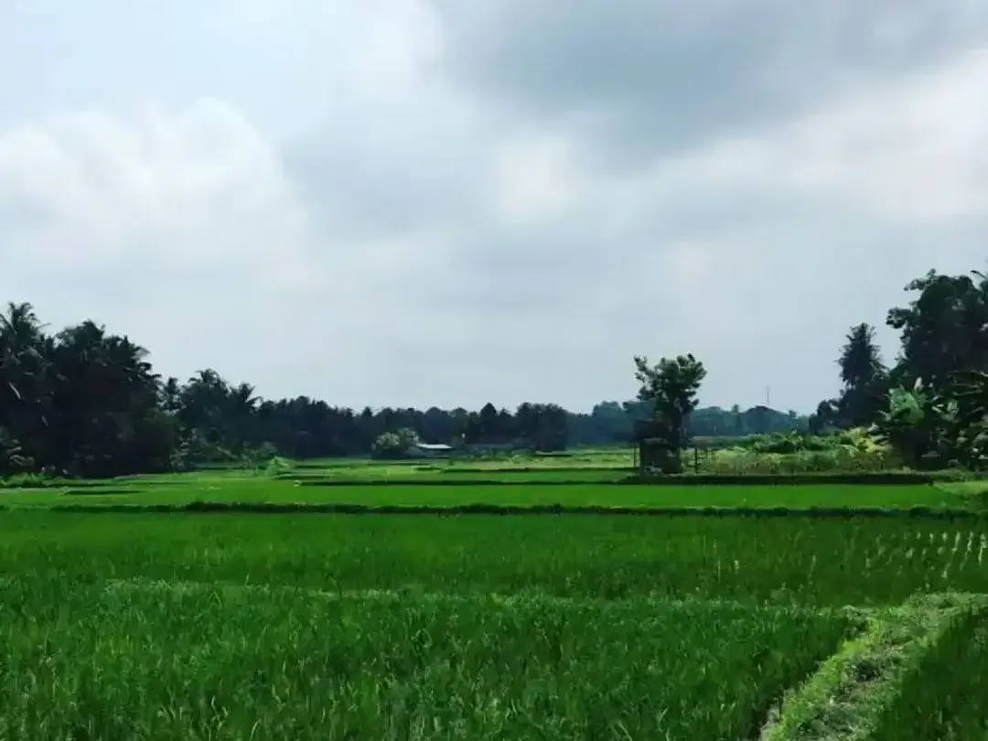 TANAH STRATEGIS LOD TUNDUH UBUD - Image 1 of 10
