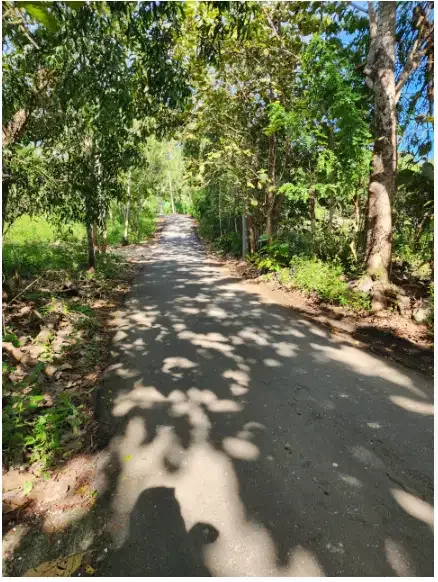 Land for sale at Pecatu - Image 7 of 10