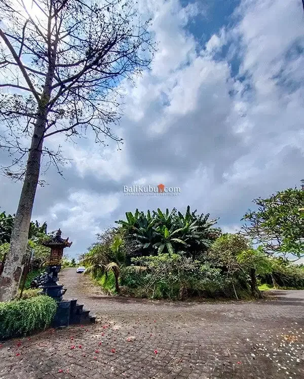 [AMS-067.DRM] Jual Tanah Kavling 1 arean Super Premium Siyut Gianyar - Image 1 of 10